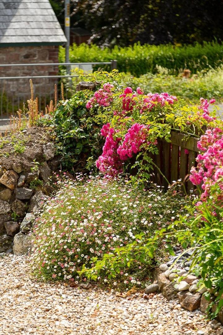 Charlestown Cottage, Woodburner, Gardens & Parking Buitenkant foto